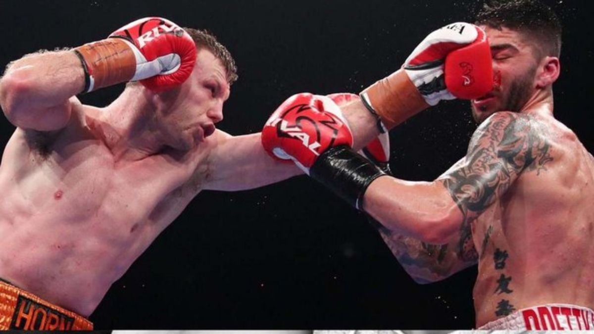 Michael Zerafa Jeff Horn knockout