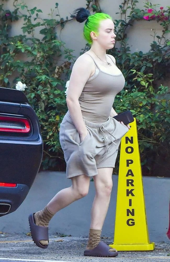 Billie Eilish candid photo body shamed.