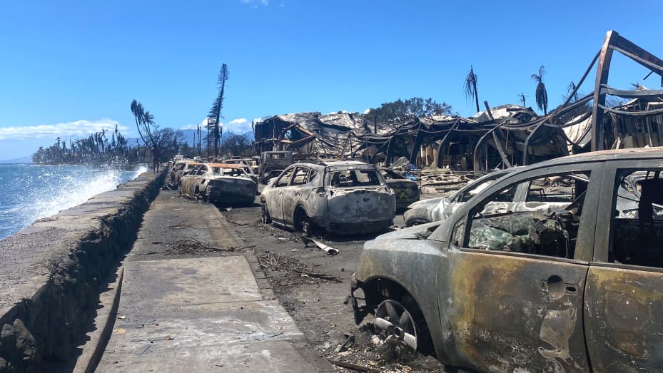 Maui aftermath