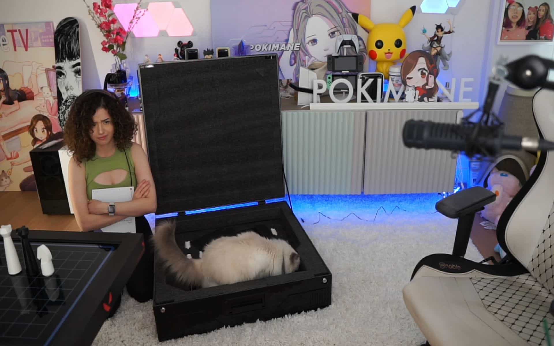 Pokimane sitting beside her cat Mimi during a livestream